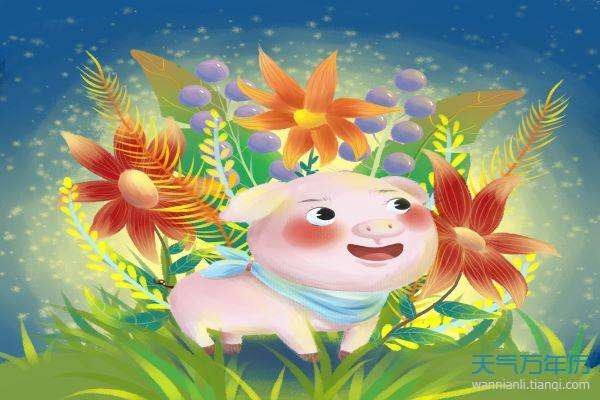 猪人2022年下半年运势，猪人在2022 年运势