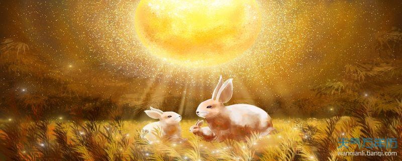 属兔男跟属猴女配吗,男属猴女属兔婚姻状况