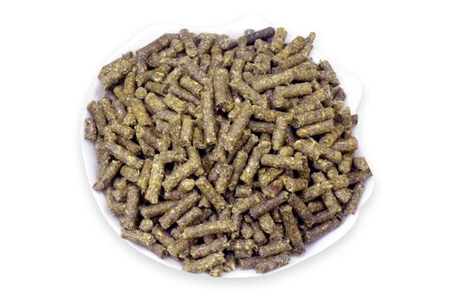 生肖兔和什么生肖最配，兔的忌配生肖什么生肖