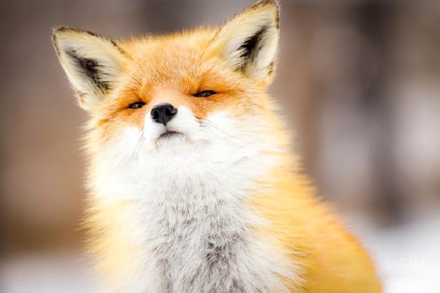 身上带仙看哪个手指，带仙缘的人嗜睡