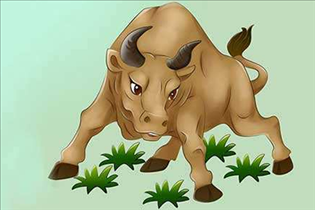 属兔的男的和什么属相最配，属兔的婚配属相更好