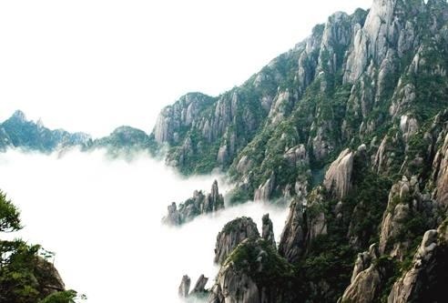 哪个属相旺兔发财大富大贵,1987年兔33岁后财运