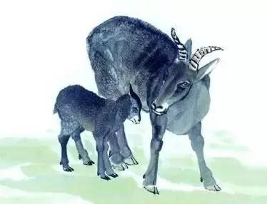 属狗哪月出生是上等之命，真的十狗九富吗