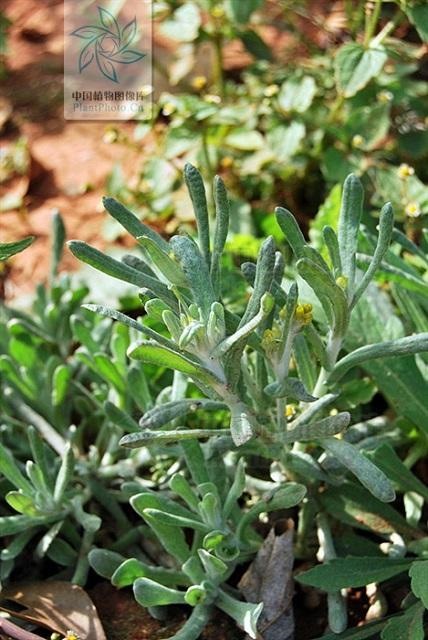 984年正月二十七属鼠命运，84年属鼠的命中贵人"