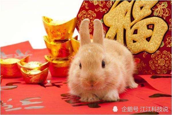 六三年属兔的男命，63年属兔人2022 年运程