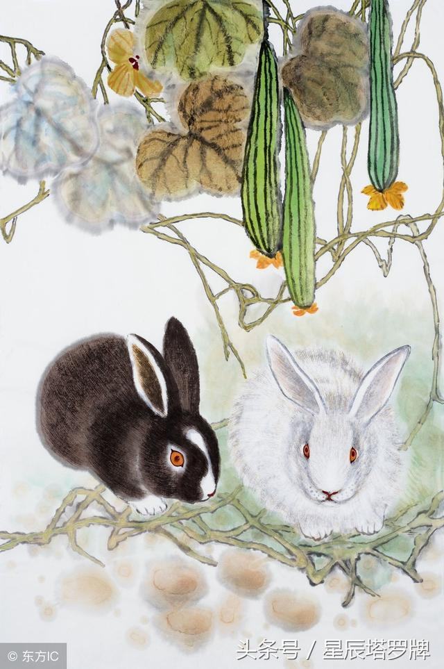 7年属兔有一劫，1987年属兔命中三劫"