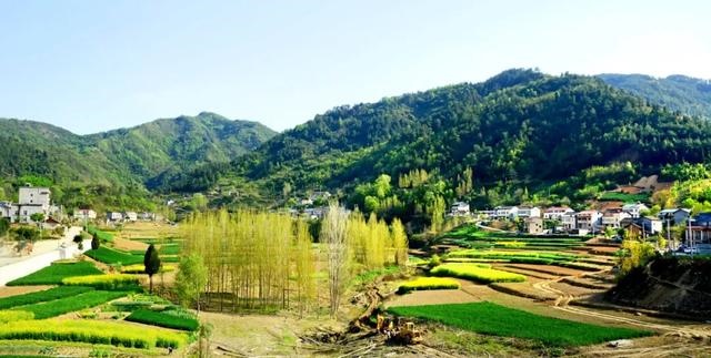 964年属龙男晚年命运，1964年属龙人2022