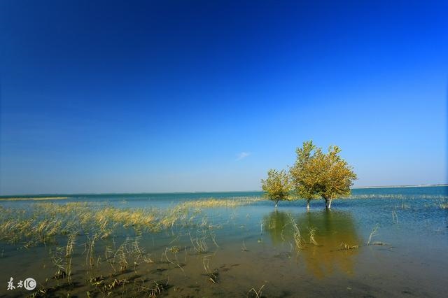 属鸡在什么年容易添丁，93年属鸡的子女缘