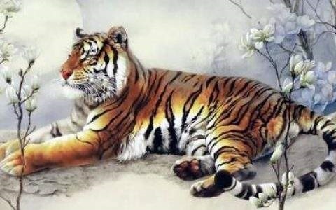 属虎和属鼠合适吗，属虎人一生佩戴什么好