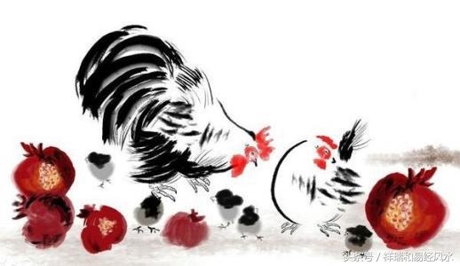 981年属鸡的男人婚姻怎么样，1981年属鸡女一生命运"