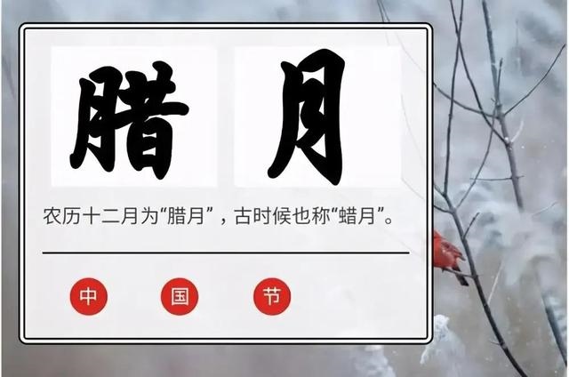 7年正月的兔子好不好，1987年兔兔32岁后财运"
