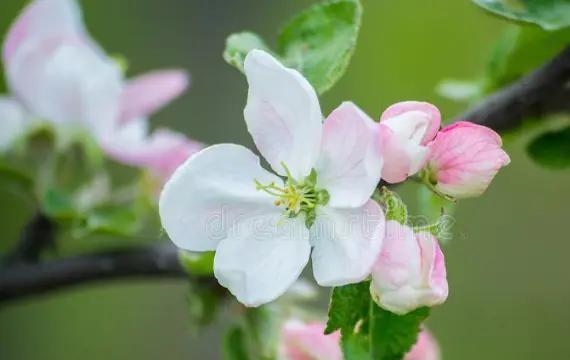 如何让属牛男离不开你，金牛男喜欢的相处模式