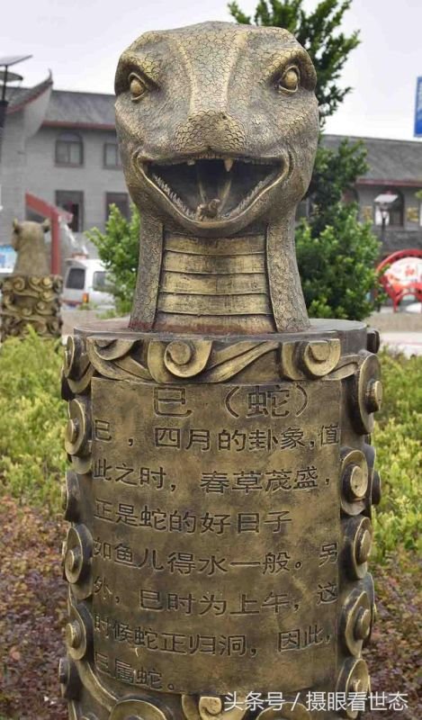 十二生肖图片动物，十二生肖的故事