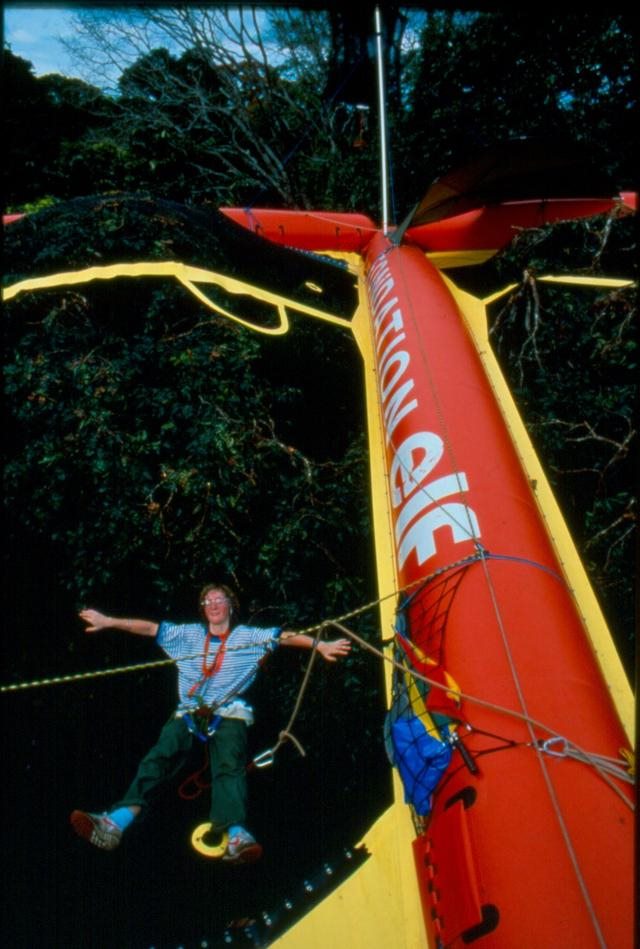 属兔是19几年的，属兔2022 年运势及运程