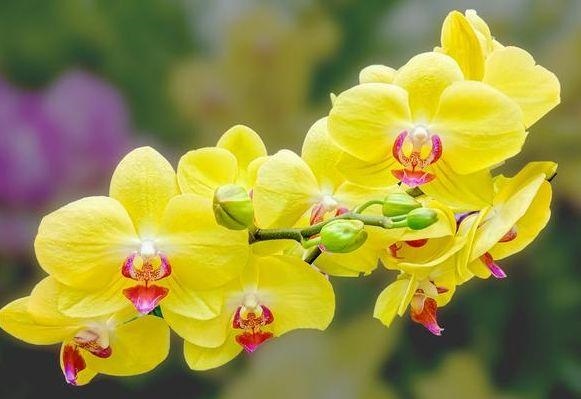 两人姻缘测试免费，合八字婚姻免费算婚姻