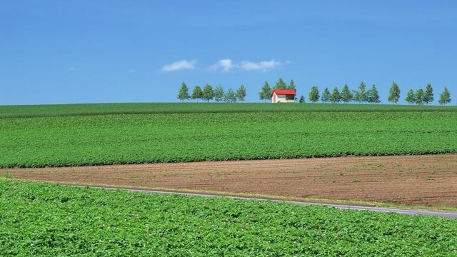 兔年是哪年生的，2023年属兔的是什么命