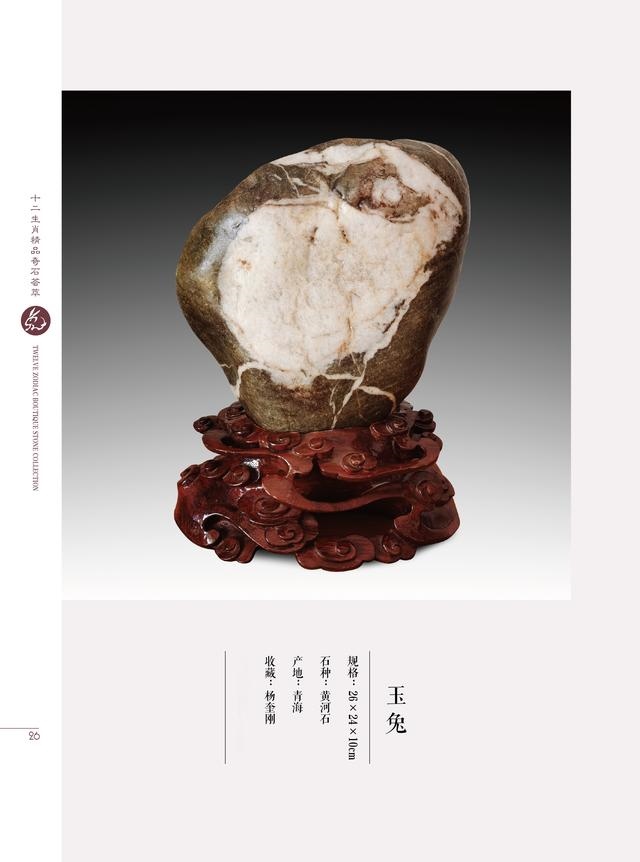 属兔和属虎的合不合财，属兔和属虎的合财吗