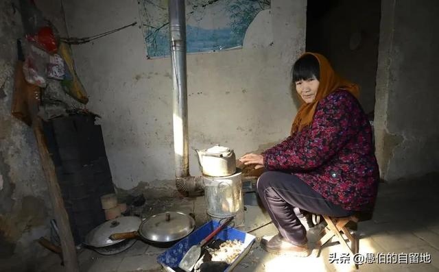 鼠男女马婚配家破人亡，91男羊96女鼠聚财吗