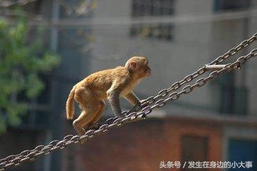 属龙女2022年几月会添丁，生肖龙有3大喜来临