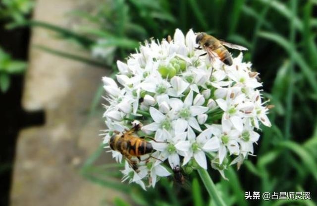 022年适合添丁的日子，属蛇2022年几月份添丁"