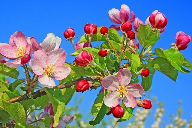 022年注定会遇见真爱的生肖，2022年结婚更好的属相"