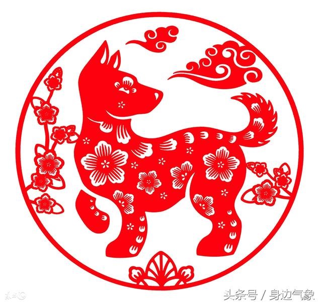 属兔属狗的配不配,属狗的男孩婚配更佳女孩