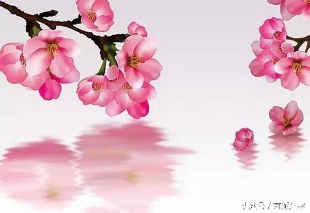 算命八字带双桃花是什么意思，命好嫁良夫的女人八字