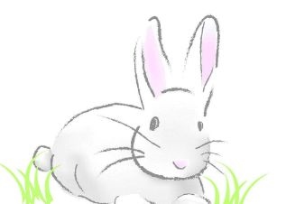 5年属兔的寿命有多长，1975年属兔能活多少岁"