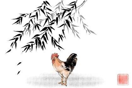 981年鸡人41岁后命运，1981年属鸡2022