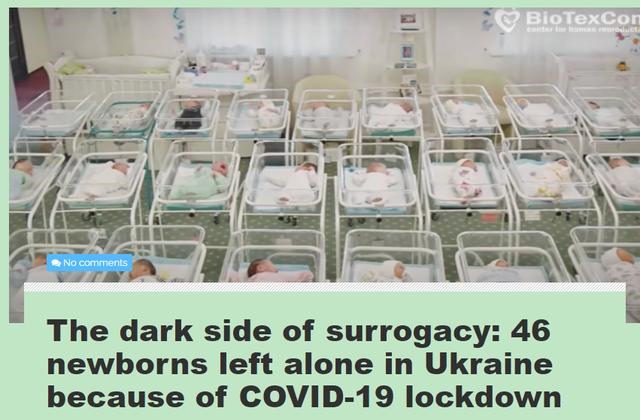 呗呗兔为啥离婚，呗呗兔干啥的家里那么有钱