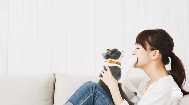 生肖兔的男人对老婆好不好，属兔的男人对老婆的态度