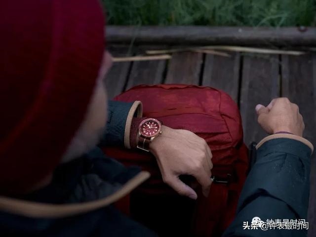 十二生肖49码表，香港12生肖49数字图