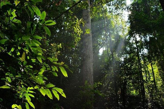 测试最近谁会对你表白，测字测试最近谁会表白