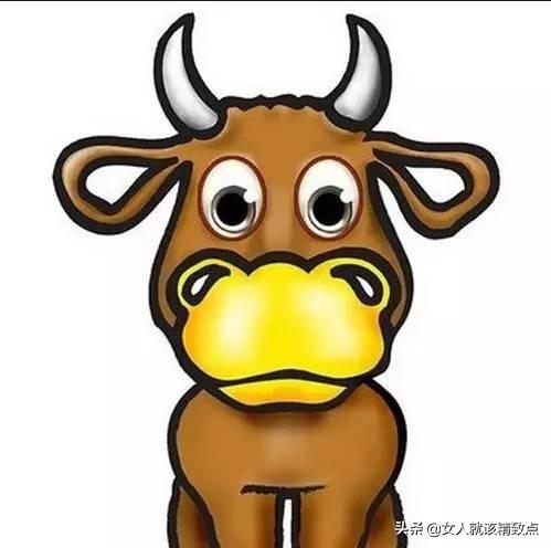 火命的女人旺夫吗，火命女人的更佳婚配