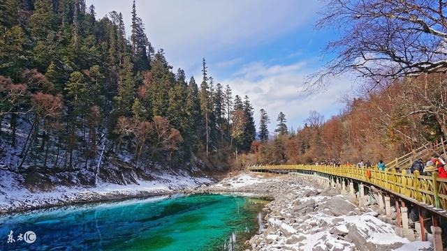 属兔的女生几月出生更好命，属羊哪天出生更好命