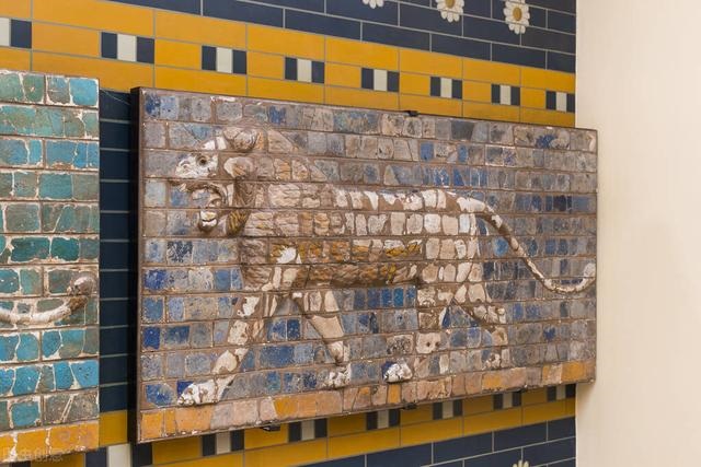 十二生肖的代号和属性，生肖表属性代号