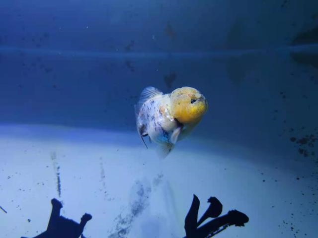 大溪水命里缺啥，大溪水命五行缺什么