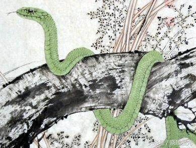 生肖蛇未来10年命运，属蛇2022 年十年大运