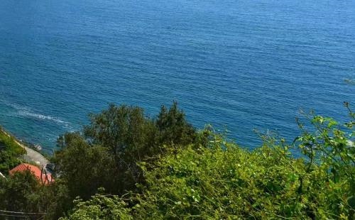 属牛人是属猴人的贵人，属猴的人生什么属相的宝宝好