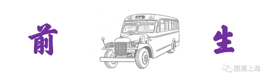 975属兔人交运是什么时候，1975年属兔交运防什么"