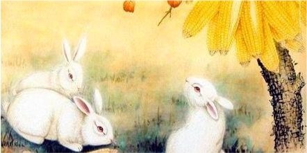 属兔与属虎的合不合,99年属兔的姻缘在哪年