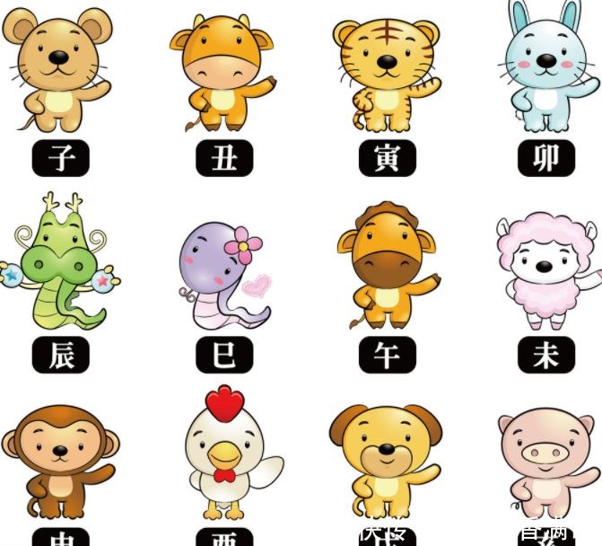 属鼠跟属羊的婚姻配吗，生肖羊和属鼠的人适合吗