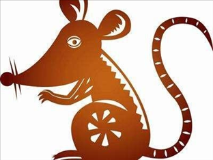 跟老鼠犯冲的属相，十二生肖相生相克表