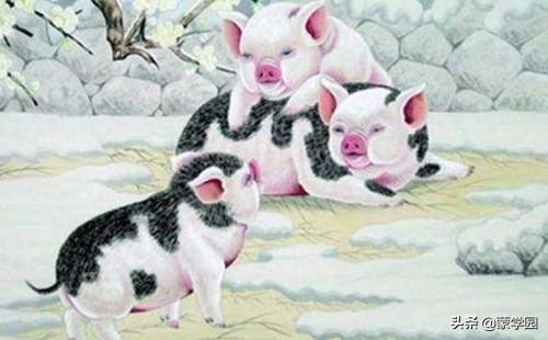 十二生肖买马图2022年，澳门六彩最准资料