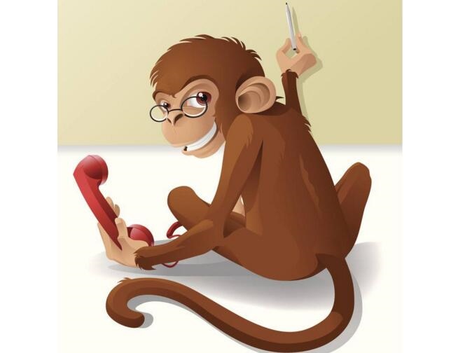 属猴56年出生今年多少岁，1956年今年多大年龄2022