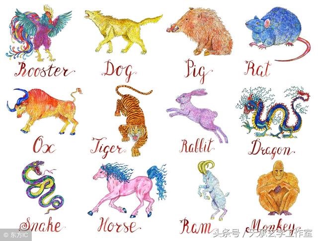 鸡兔六冲最严重的一组，婚姻差6岁相冲反而好