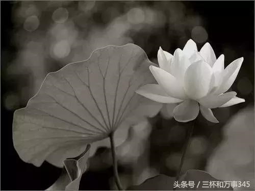 8年属马42岁以后财运女，78年天上火命的人禁忌"