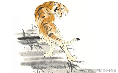 生肖虎更佳配偶属相男，93年属什么生肖