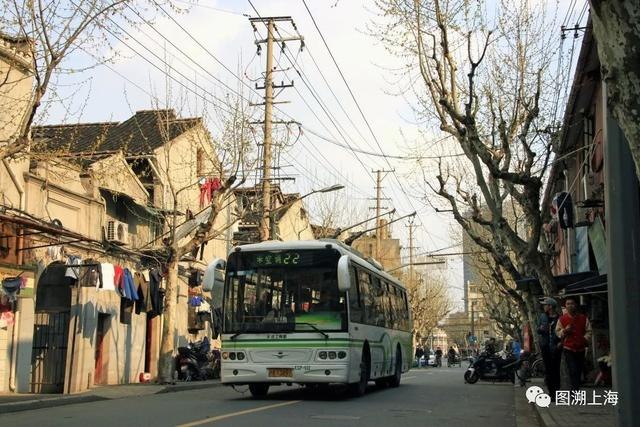 975属兔人交运是什么时候，1975年属兔交运防什么"