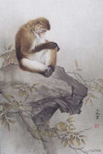 十二生肖买马图2022年，澳门六彩最准资料